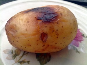 ziemniak1
